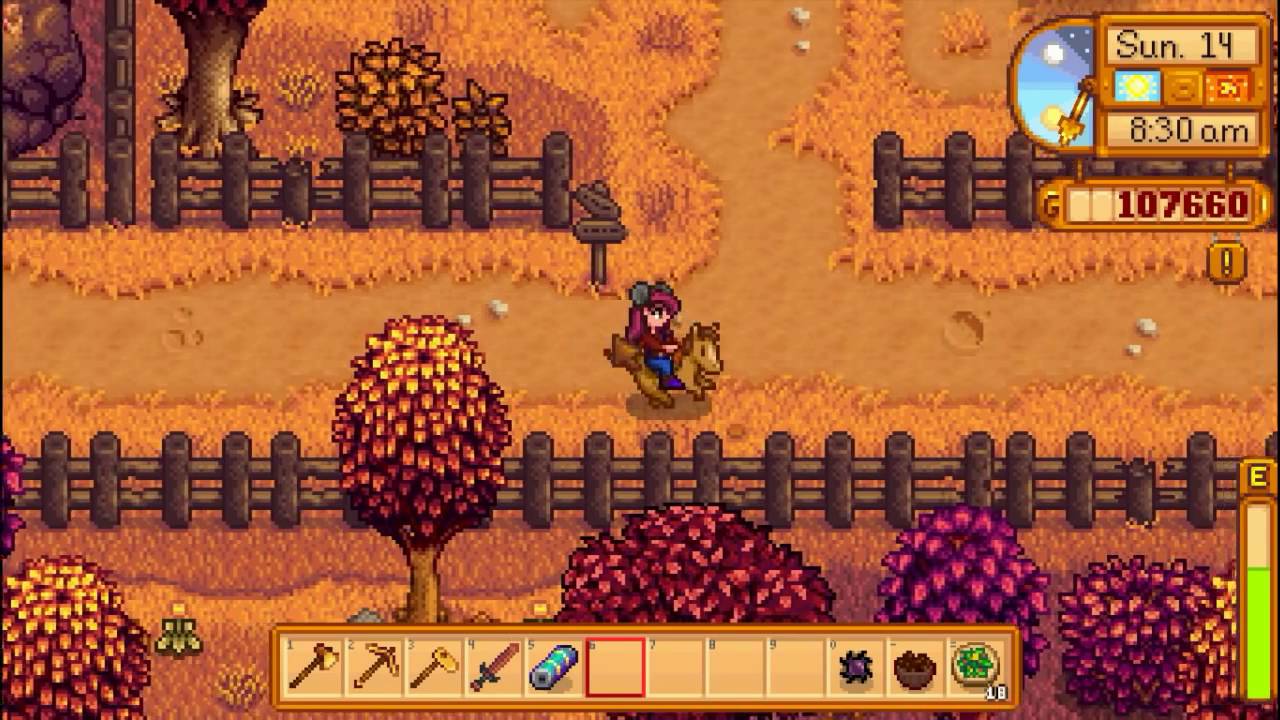 how to enter the casino stardew valley